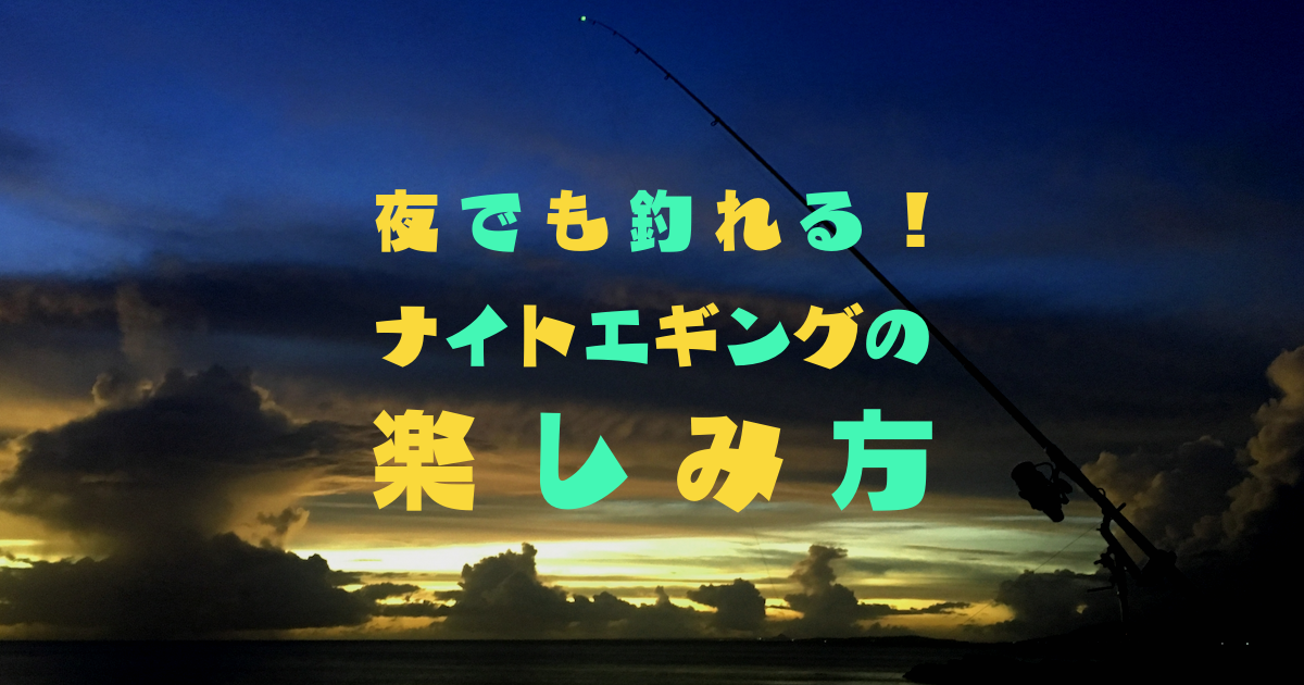 夜エギングをおススメする理由とは 夜行性のイカを釣るコツとポイントを紹介 えぎんがない