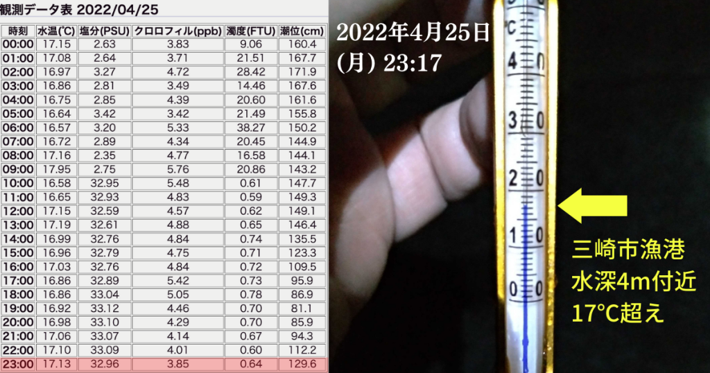 水温観測データと実測値比較画像