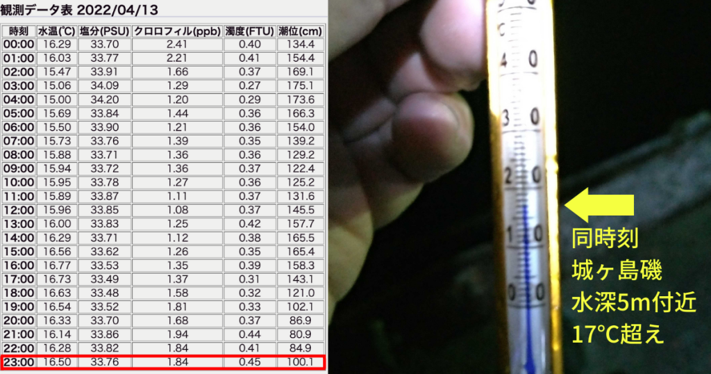 観測データと実測データの水温比較画像