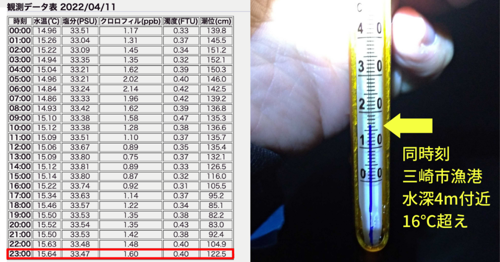 観測データと実測値の水温比較画像