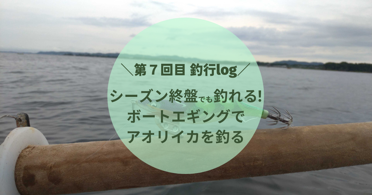 第7回目 釣行log シーズンはまだ終わらない ボートエギングでアオリイカを釣る えぎんがない