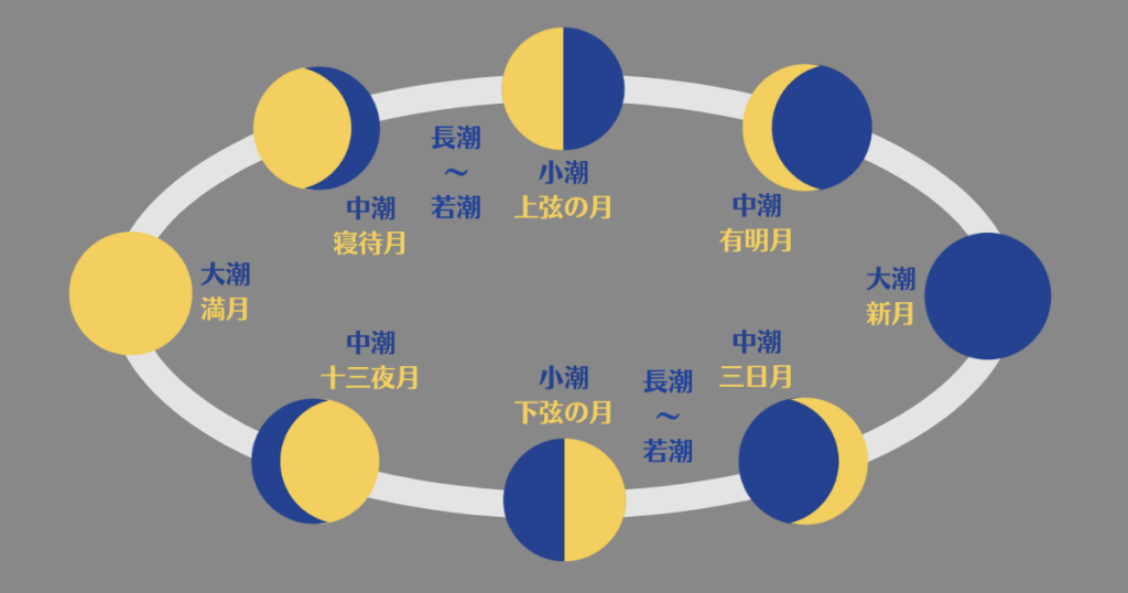 潮汐と月齢の周期図