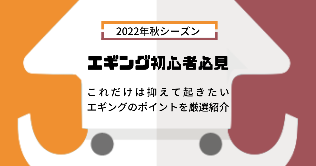 22年秋シーズン エギング初心者はこれだけ抑えて行こう エギングのポイントを厳選紹介 えぎんがない